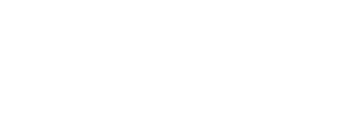 FesiGips GmbH – Ihr Partner für Gipserarbeiten